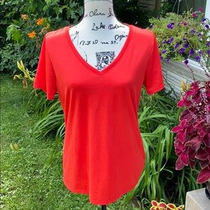 Nike Dri-fit v-neck athletic t-shirt- L